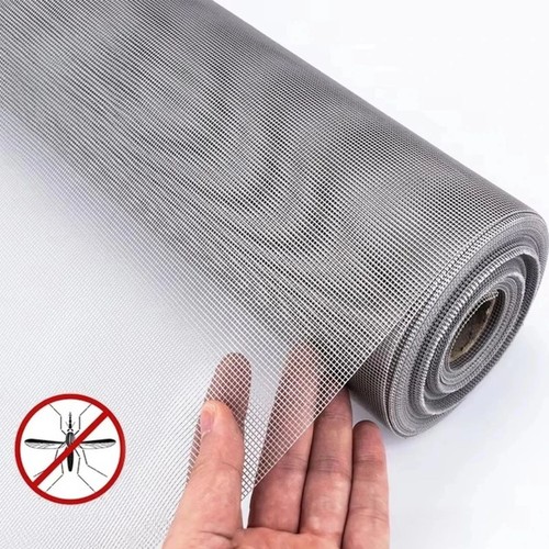 Insect net screen fly - insect,