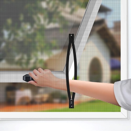 Black window net insect - black,